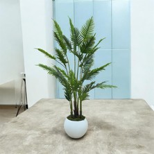 Asel Çok Dallı Areka 160 cm