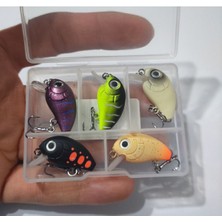 Özbience Yüksek Kaliteli Maket Balık Takımları ve Suni Yemi Setleri