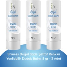 Shiness Doğal Dudak Balmı Yenilebilir Sade 5 gr 3 Lü Paket