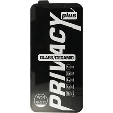 Platin Store Pilatin  iPhone 12 Pro 34D Hayalet Izgaralı Cam Zeyd