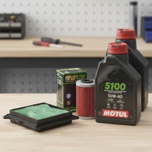 Elmas Motor Bajaj Pulsar NS200 - RS200 - Dominar 250 Bakım Seti