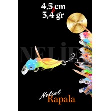 Özbience Spinner Dana Burnu, Eşek Arısı ve Karınca Görünümlü Lures, Maket Balık