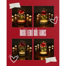 Ttt İncili Ledli Gül Fanus