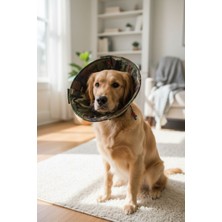 TrendyPati Köpek Sünger Koni Yakalık , Elizabeth Yakalık, Ameliyat Sonrası Koruyucu Yakalık -Küçük Orta ve Büyük Irk