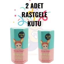 Rovizo Sonny Angel Hippers Sürpriz Figür | Attach Me Serisi | Rastgele 1 Adet Mini Figür