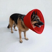 TrendyPati Köpek Sünger Koni Yakalık , Elizabeth Yakalık, Ameliyat Sonrası Koruyucu Yakalık -Küçük Orta ve Büyük Irk