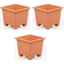 Hepta Collection 3 Adet Küçük Plastik Saksı Seti (Kiremit), 0,6 L, Balkon ve Iç Mekan Için