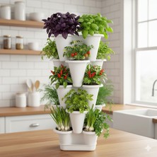 Delixa 5 Katlı Şanslı Yonca Kule Saksı Seti Çiçek Bitki Sebze Meyve Salon Mutfak Banyo Bahçe Saksı Seti (Be