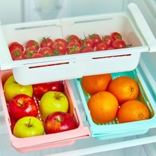 Delixa Ayarlanabilir Buzdolabı Düzenleyici Raf, Genişleyebilen Plastik Organizer, 1 Adet