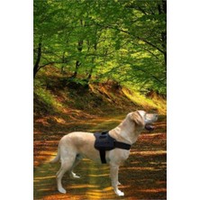 Delixa Bypet Köpek Göğüs Tasması Büyük Irk Köpek Tasması Dog Police K9 Tasma