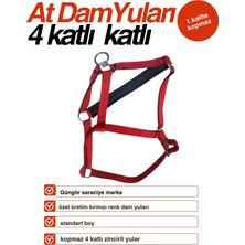 Güngör Saraciye At 4 Kat Dam Yuları Kırmızı Standart Boy