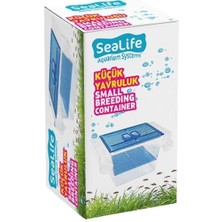 Delixa Tekli Küçük Balık Yavruluk