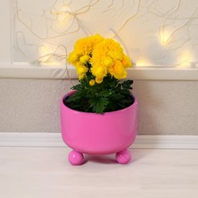 Delixa Metal Çiçek Bitki Saksısı Dekoratif Saksı Geri Dönüşümden Imal Saksı