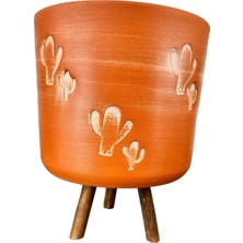 Delixa Bitki Tasarımı Ev Dekorasyon Aksesuar Kaktüs Desenli Toprak Saksı Saksılık Salon Çiçeklik 3 Ayaklı -