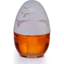 Delixa Magic Dose Dekoratif Küre Mango 100 ml