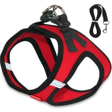 Delixa Bypet Kedi Tasması Reflektörlü Kaçış Önleyici Kedi Gezdirme Tasması Reflektörlü Kedi & Köpek Göğüs T