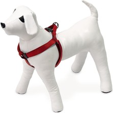 Hepta Collection Kilitli Göğüs Tasma Xs 20-35CM Kırmızı