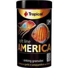 Delixa Tropical Soft Line America Size M 100ML 60GR