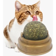 Luord-Store Kedi Nanesi Oyun Topu