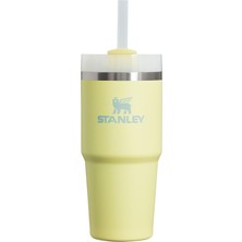Delixa Stanley Quencher H2.0 Flowstate Paslanmaz Çelik Vakum Yalıtımlı Bardak Kapaklı ve Pipetli Su, Buzlu