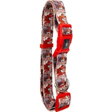 Delixa Pawlook Köpek Boyun Tasması – Geri Dönüştürülmüş, Ayarlanabilir, Emniyet Tokalı – Küçük ve Büyük Irk