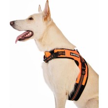 Delixa M-Pets Hıkıng Reflektörlü Soft Göğüs Tasması Orange (S)