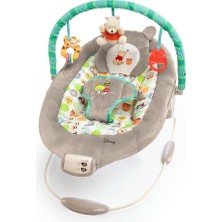 Delixa Bright Starts Winnie The Pooh Dots & Hunny Pots Sallanan Bebek Titreşimli Bebek Koltuğu, Müzik ve 3