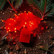 Alem 10M 100 LED Damla Uçlu Kırmızı Işık Şeffaf Kablo Mz-17-5