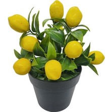 Çiçekmisin Saksıda Yapay Limon Çiçeği