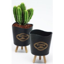 Die Grup Ahşap Ayaklı  Mini Saksı - Çok Amaçlı Sunum  Sepeti  (2 Adet ) DIERSTP-32456