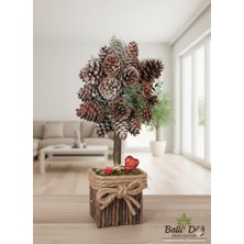 Masa Üstü Kozalak Ağacı