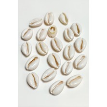 Nuveden Ieg™ 10 Adet Orjinal Istiridye Aparatı Orta