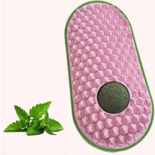 Nuveden Ieg™ Silikon Kaşıyıcılı Kedi Otu