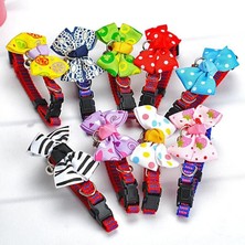 Nuveden Ieg™ Çıngıraklı Kedi-Köpek Papyonu