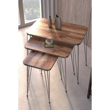 Sepetink Zigon Sehpa Kr Gümüş Ceviz Tel