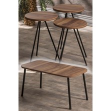 Sepetink Zigon Sehpa ve Orta Sehpa Set Kr Metal Ceviz
