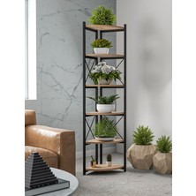 Sepetink Çiçeklik Kitaplık 6 Raflı Ceviz