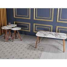 Sepetink Zigon Sehpa ve  Orta Sehpa Set  Torna Kr Efes