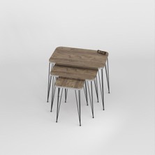 Sepetink Zigon Sehpa Kr Gümüş Ceviz Tel Siyah Ayak