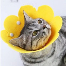 Nuveden Ieg™ Evcil Hayvan M Boy Keçe Elizabeth Yakalığı