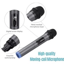 Profesyonel Kablosuz Mikrofon Dinamik Mikrofon Taşınabilir Mini Alıcı Için 6.35MM Fiş Karaoke Konuşma Toplantı Sahne Performansı Wn-01