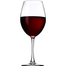 Enoteca Şarap Kadehi 615 cc 6 Pt