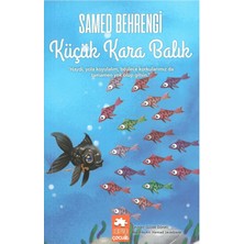 Küçük Kara Balık