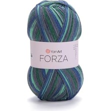 El Örgü Ipi Forza, 2506, 5X100 gr