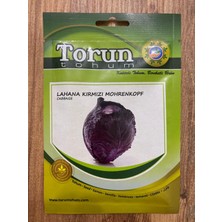 Torun Tohum Kırmızı Lahana Tohumu Mohrenkopf