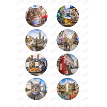 Cats In London - Londra'da Kediler - Tek Sayfa 8 Set