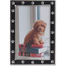 4x6 Gümüş Metal ve Siyah Resim Çerçevesi, Pençe Baskı Tasarımı