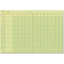 Ulusal Analiz Defteri, 13 Sütun, Yeşil Kağıt, 11 x 16.5 Inç, 50 Yaprak (45613)