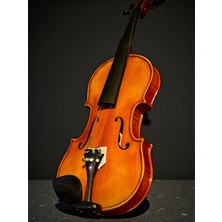 Donizetti Profesyonel  El Yapımı 4/4 Keman Tam Boy Ng-08 - Ahşap Yastık -1.sınıf Hardcase Çanta