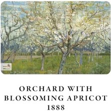 Blooming Series - A5, 4'lü Defter Seti Iı, Çizgisiz, Toplam 256 Sayfa, Her Biri 64 Sayfa, Tel Dikiş, Esnek Kapak, Oval Kenar, Tuval Doku, 60 Gram, Sarı Krem Renk